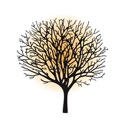 Shop Springtree