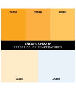 American DJ ENCORE LP12Z IP – detail view