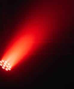 Event Lighting PAR12X12L - Indoor Lite Par with 12 x 12W RGBWAU LEDs – detail view